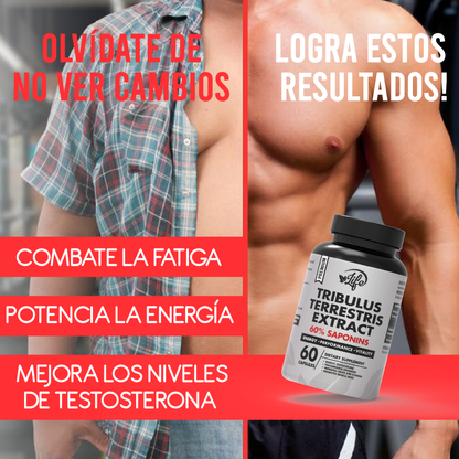 Tribulus Terrestris Extract por 60 Cápsulas
