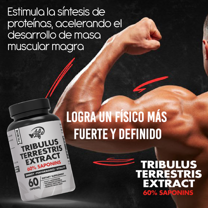Tribulus Terrestris Extract por 60 Cápsulas